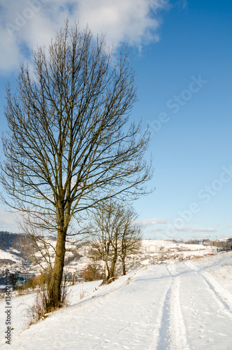 Winter landscape  snow-capped mountains  trees on a background o