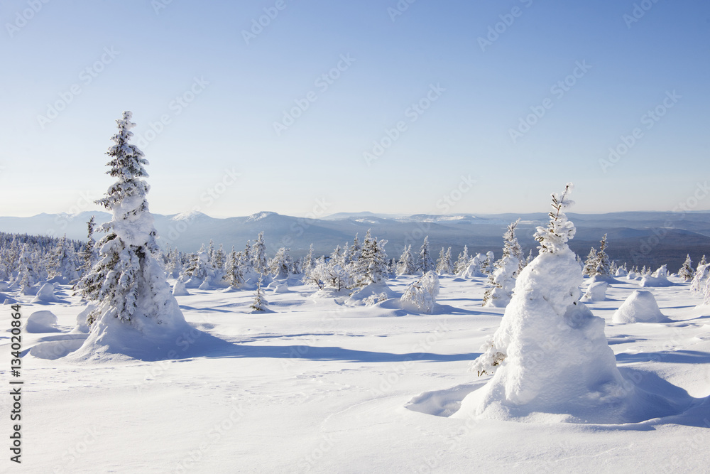 Winter landscape. Snow covered forest. Mountain range Zyuratkul Winter landscape. Snow covered forest. Mountain range Zyuratkul