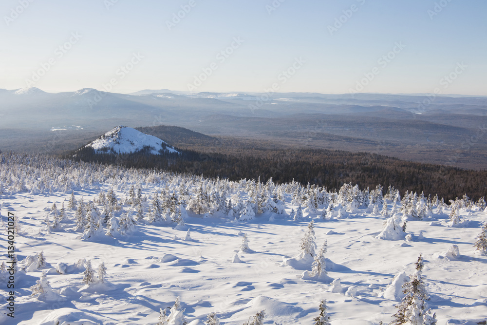 Winter landscape. Snow covered forest. Mountain range Zyuratkul
