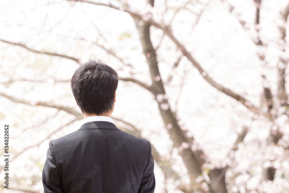 桜　ビジネスマン