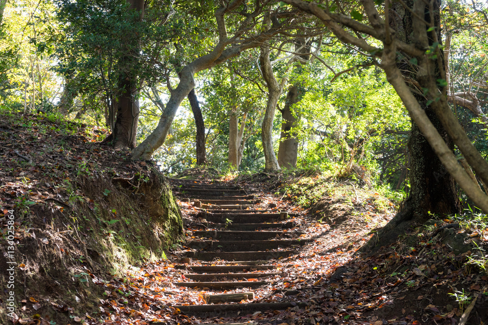 Mt. Kanuki hiking route