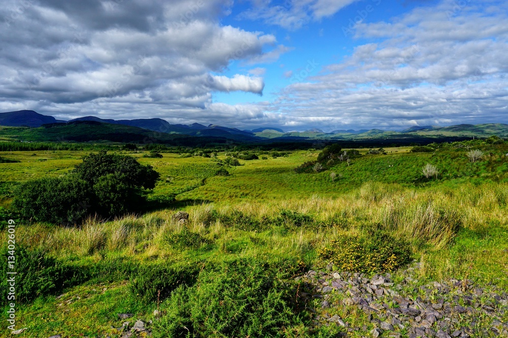 Fototapeta premium wilde Landschaft Irlands