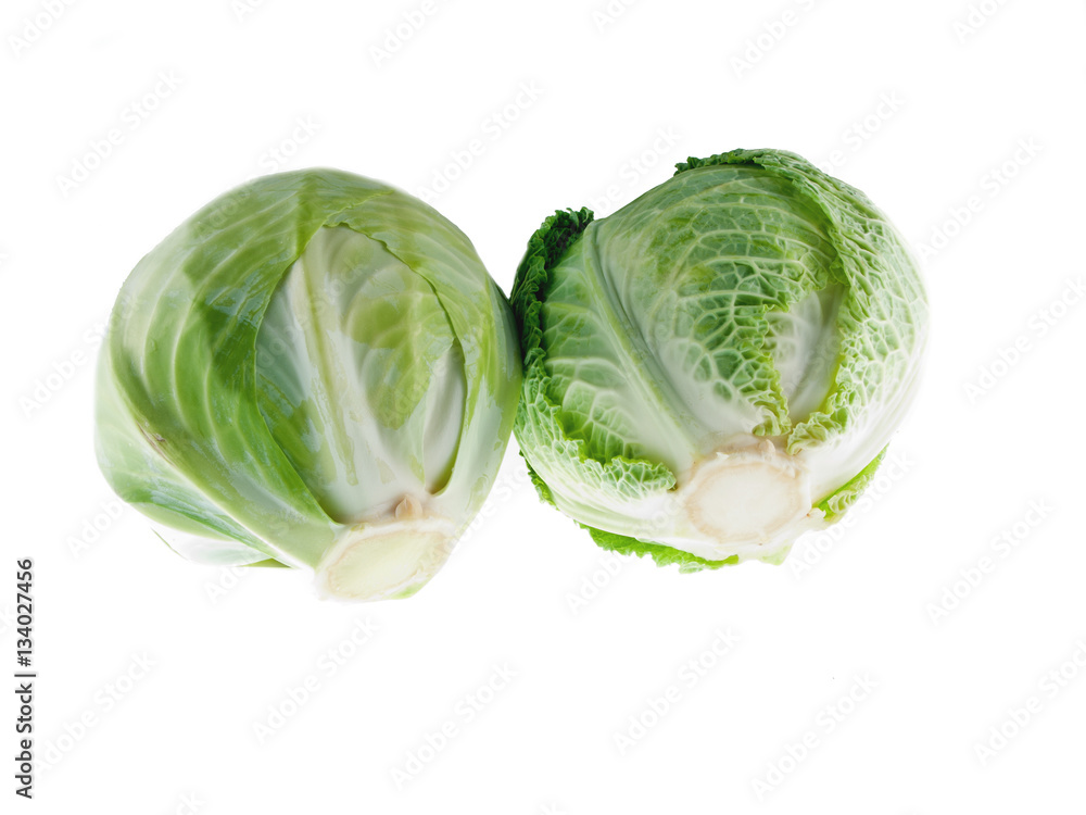 Fototapeta premium white cabbage and savoy cabbage