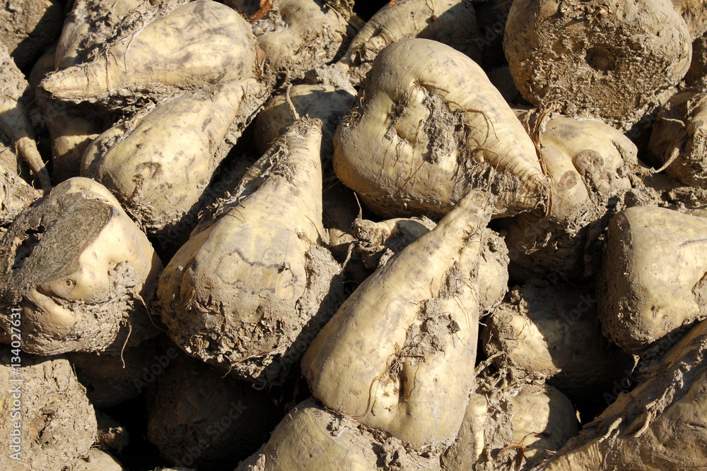 Landwirtschaft Stock Photo | Adobe Stock