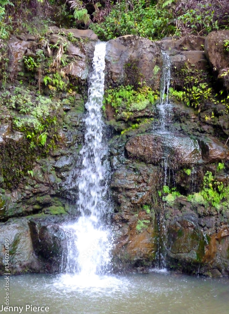 Fototapeta premium Waterfall in the Jungle