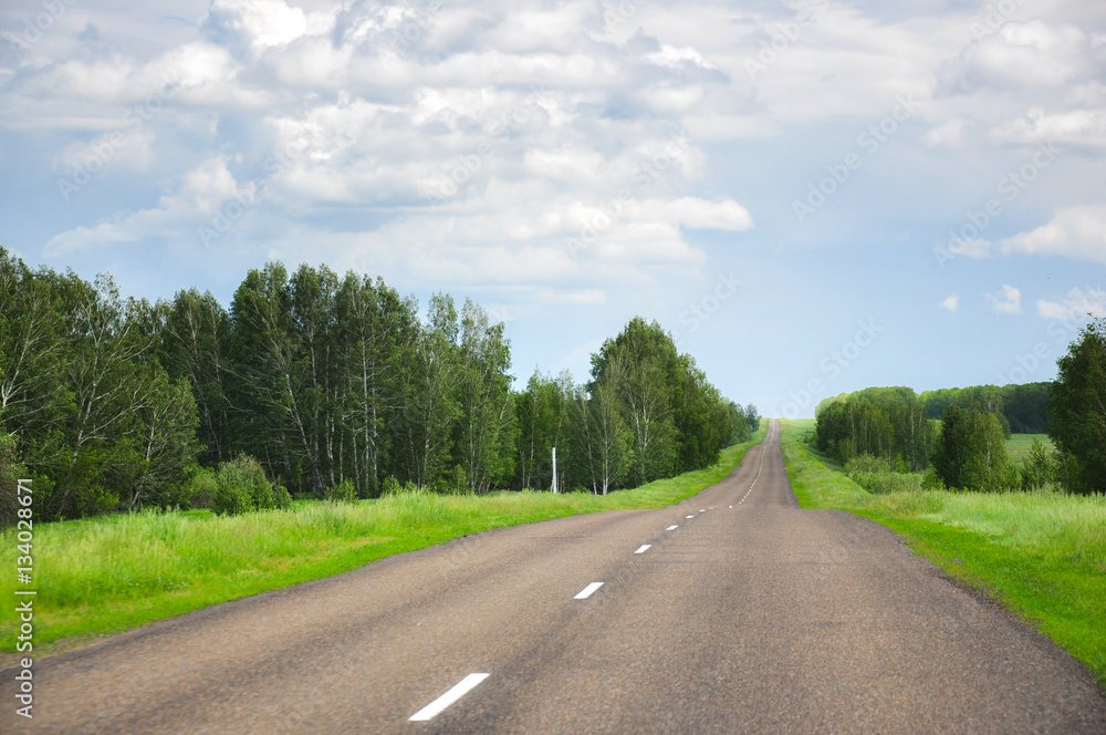 Asphalt road in the field and forest