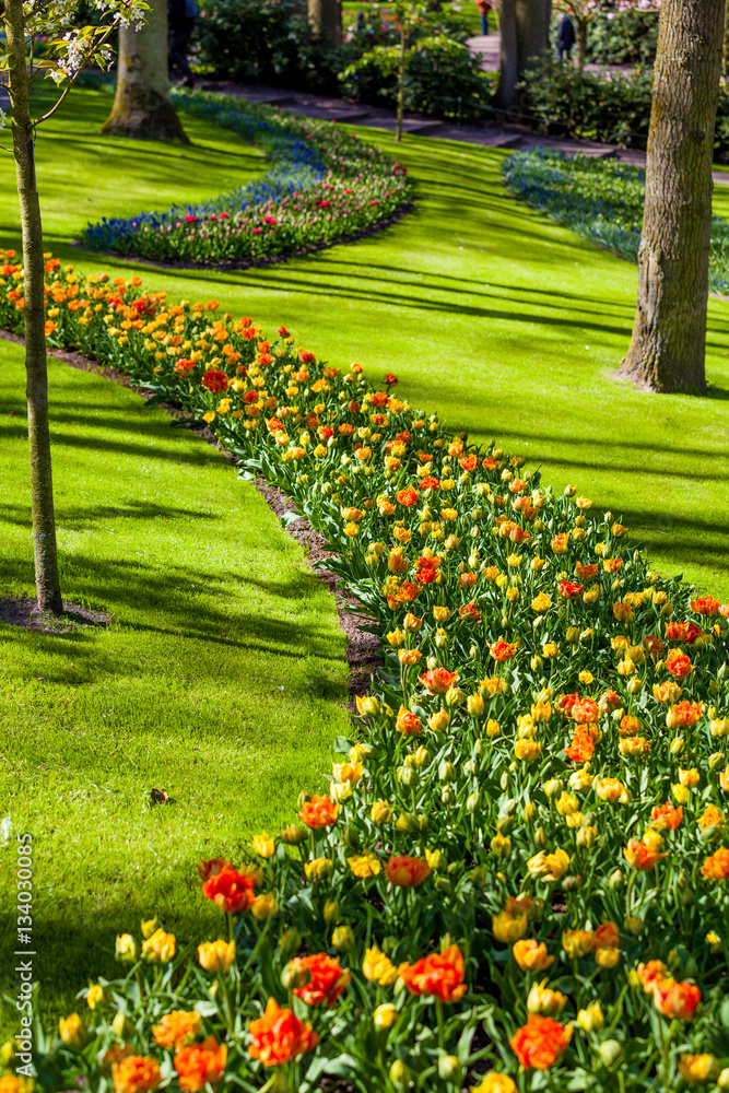 Obraz premium Landscaped Formal Garden. Park. Beautiful Garden.