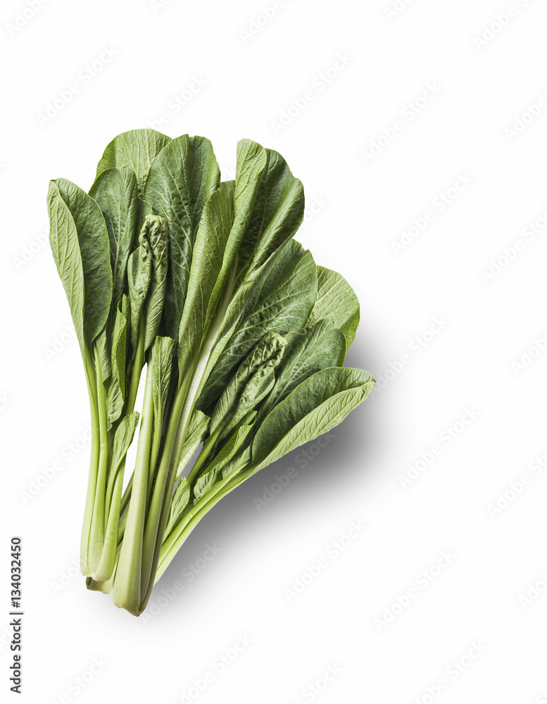 Chinese Cabbage or Brassica Chinensis on solid white background Chinese Cabbage or Brassica Chinensis on solid white background