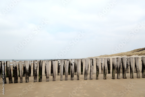 Domburg Beach with Grass Dunes/ Netherlands