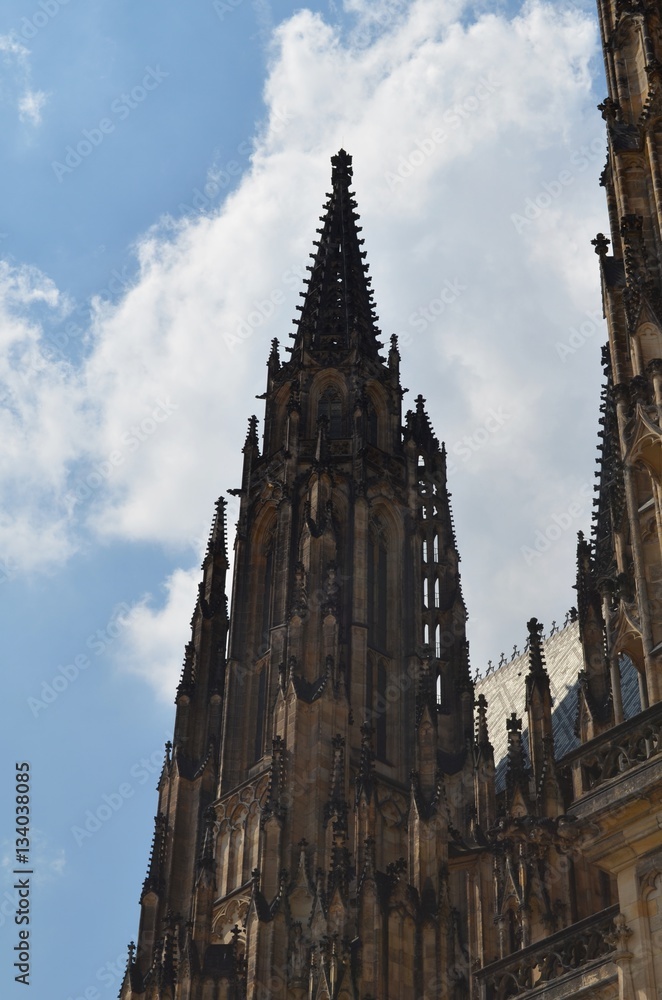 The cathedral Saint Vitus in Prague