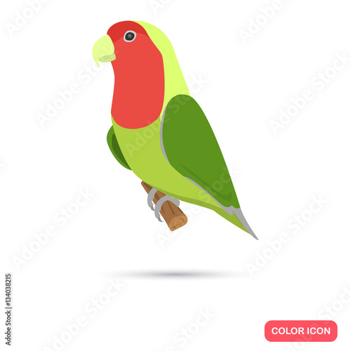 Lovebird color flat icon for web and mobile design