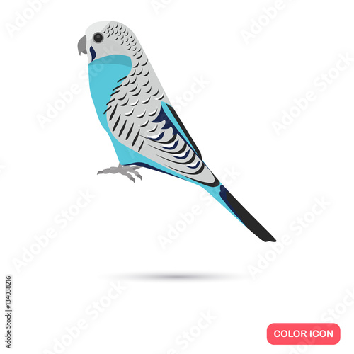 Blue budgerigar color flat icon for web and mobile design