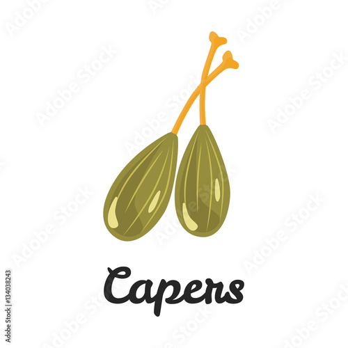 Capers color flat icon for web and mobile design