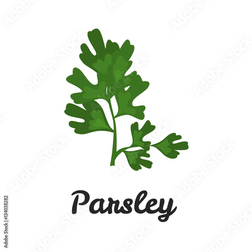Parsley color flat icon for web and mobile design