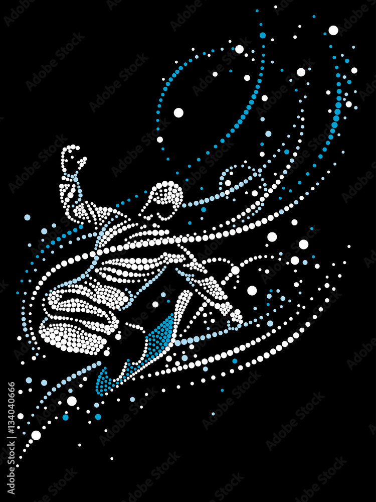 Fototapeta premium Snowboarder