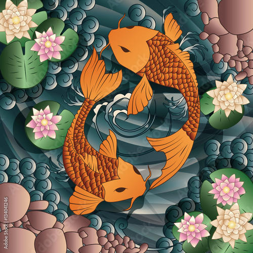 Carp Koi fish swimming in a pond with water lilies