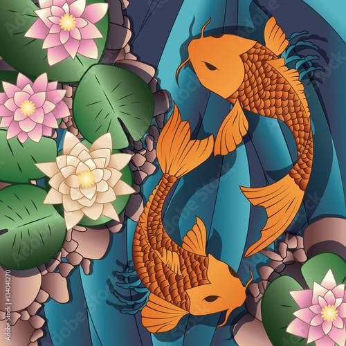 Carp Koi fish swimming in a pond with water lilies