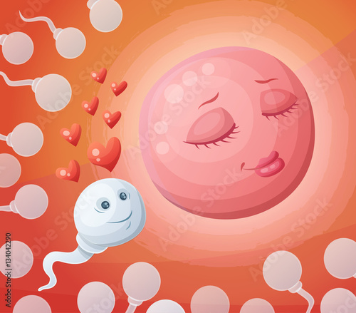 Sperm and egg in the womb. Cartoon vector illustration
