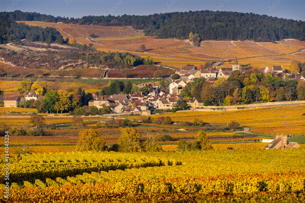 Village de Bourgogne