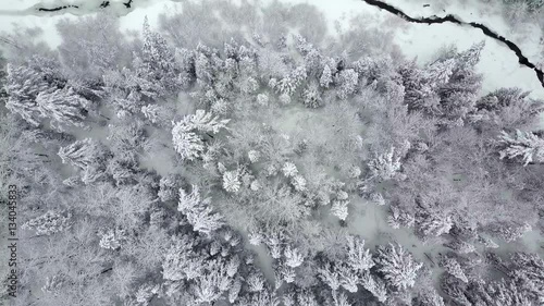 Top down aerial view of snowy trees crossing a stream