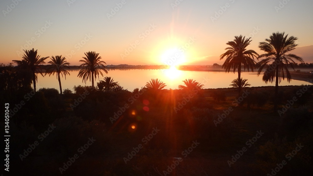 sunrise at larnaka salt lake with palm trees