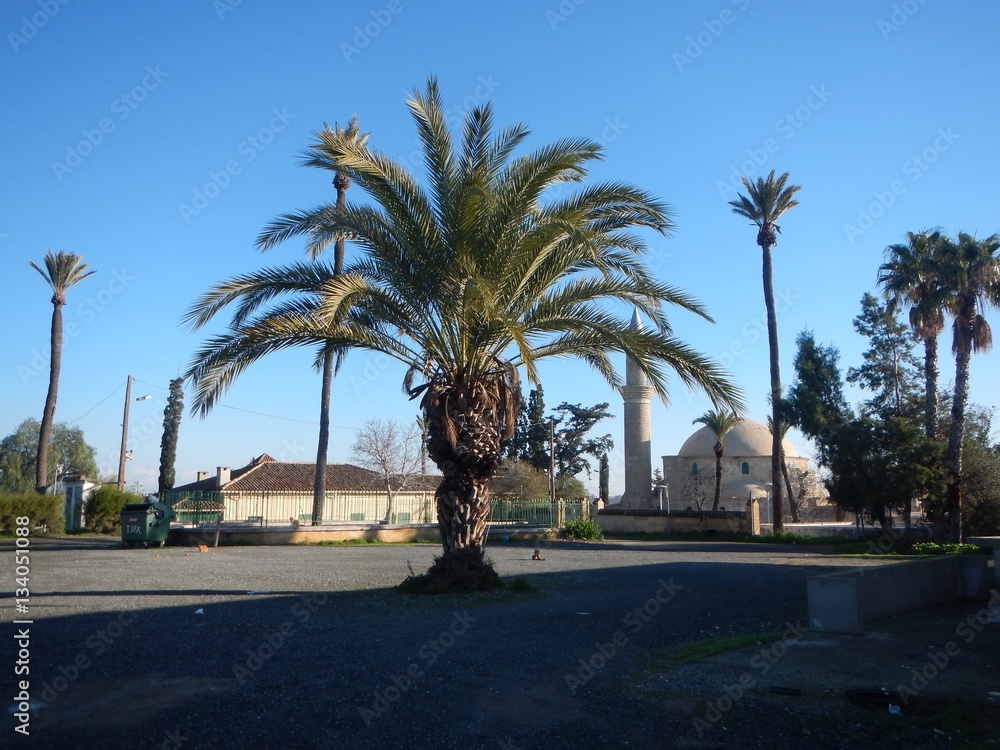 hala sultan tekke mosque by larnaka salt lake hala sultan tekke mosque by larnaka salt lake