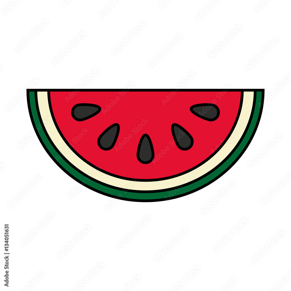 watermelon fruit icon over white background. colorful design. vector illustration watermelon fruit icon over white background. colorful design. vector illustration