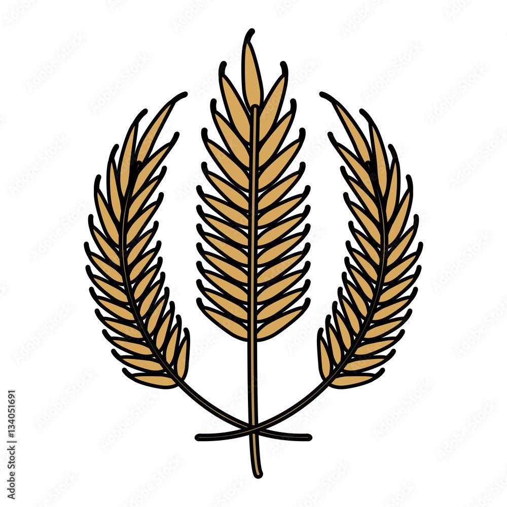 Fototapeta premium ears of wheat icon over white background. colorful design. vector illustration