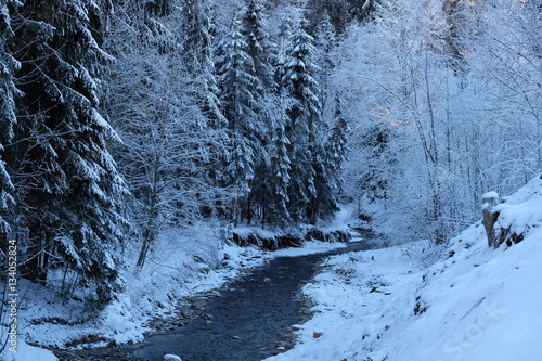 Mountain river