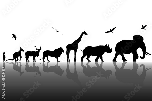 Silhouettes of wild animals with reflections background. Vector illustration
