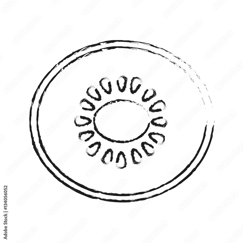 Kiwi fruit icon over white background. vector illustration