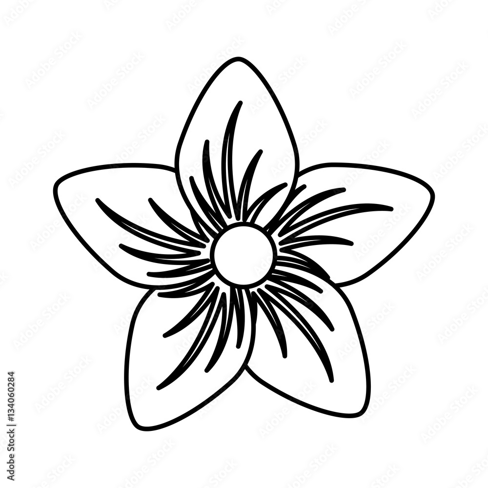 cute flower isolated icon vector illustration design cute flower isolated icon vector illustration design