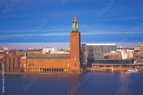 Stockholm City Hall in sunl...