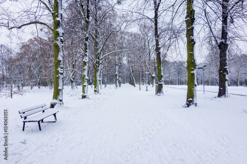 Park im Winter