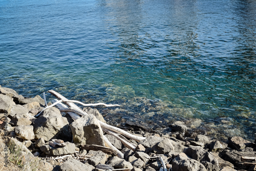 Pale driftwood on the tranquil shore of Elliott Bay and Puget Sound in Seattle Pale driftwood on the tranquil shore of Elliott Bay and Puget Sound in Seattle
