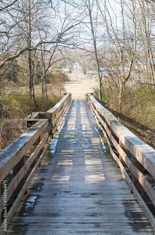 Obraz premium Bridge