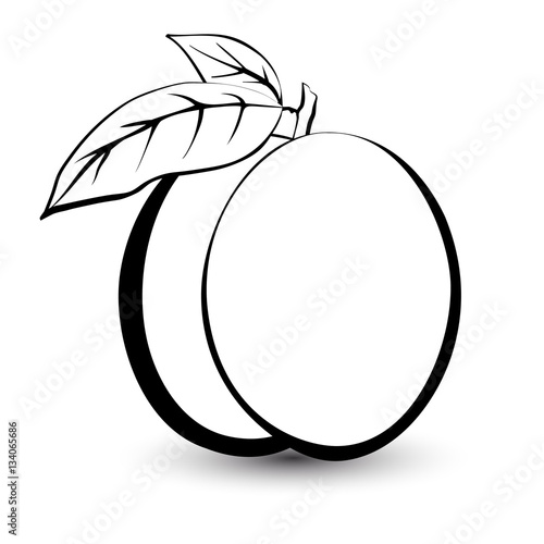 Outline sketch monochrome peach. Black and white elegant contour of the fruit. Drawing for coloring and design packaging for juices, diet food.