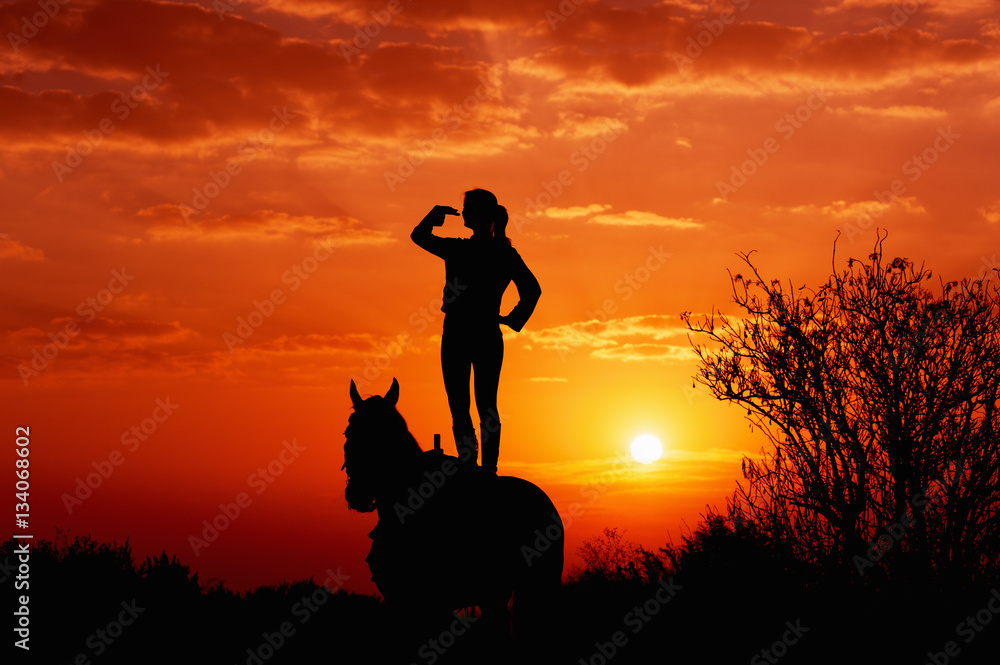 Silhouette of a young girl who is standing on a horse and looks into the distance on the background of the rising sun. Silhouette of man and horse at dawn. Silhouette of a young girl who is standing on a horse and looks into the distance on the background of the rising sun. Silhouette of man and horse at dawn.