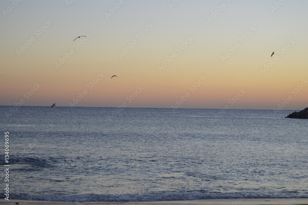 ericeira