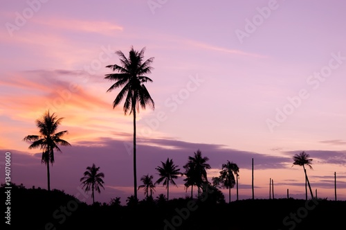 Silhouette of coconut tree with twilight sky