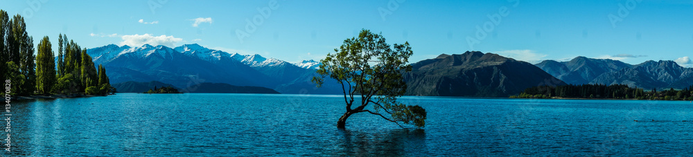 Mountain scene in Wanaka, NZ