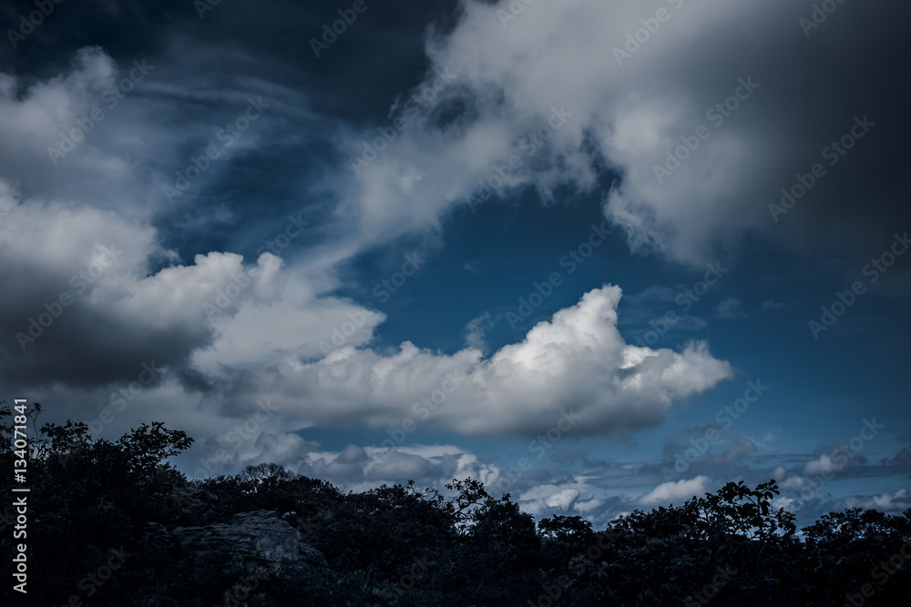 Silhouettes of tree and nighttime sky with clouds. Outdoors. Silhouettes of tree and nighttime sky with clouds. Outdoors.