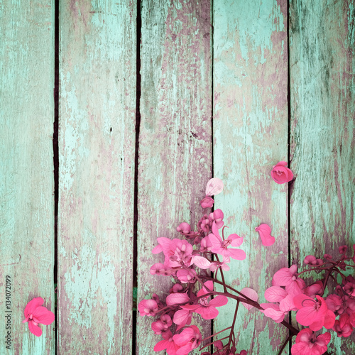 pink flowers on vintage wooden background, border design. vintage color tone - concept flower of spring or summer background