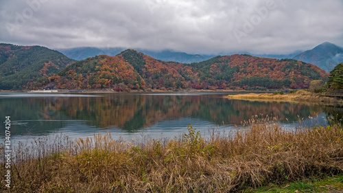 Autumn colour hill at lake Kawaguchiko, Japan.