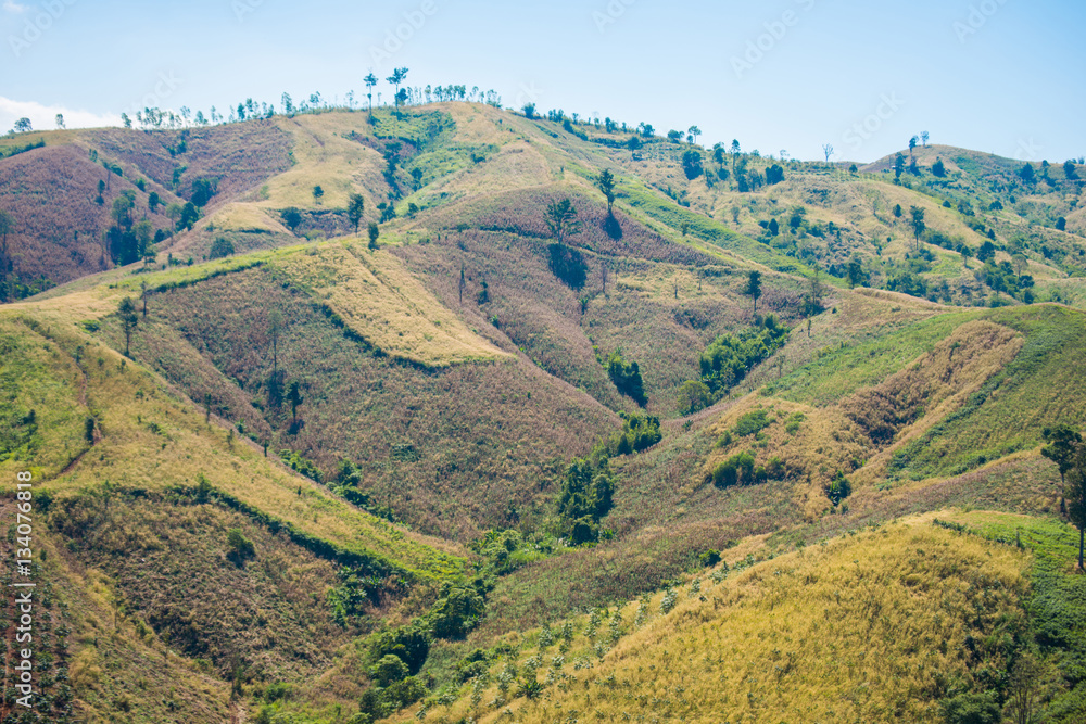 beautiful landscape with mountains.