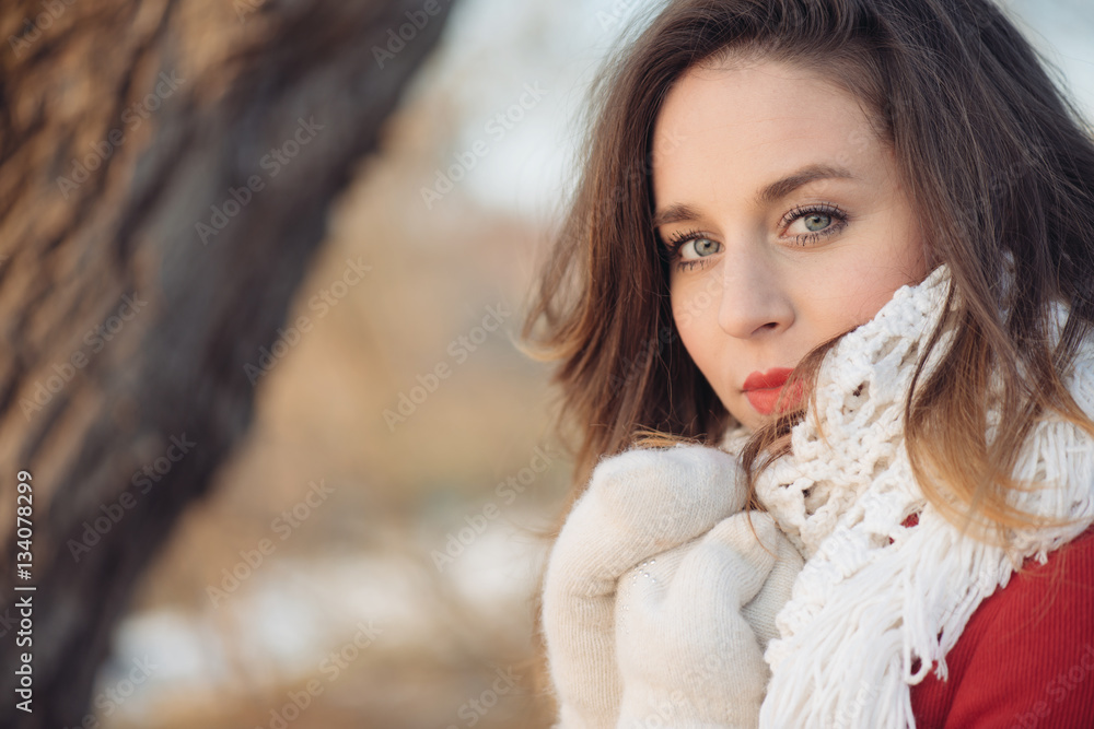 Winter portrait of beautiful woman. Winter portrait of beautiful woman.
