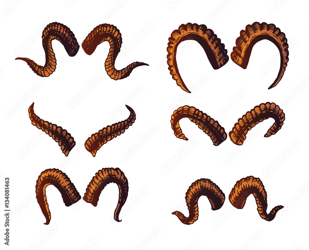 Set of different goat horns isolated on white Stock Vector Adobe Stock