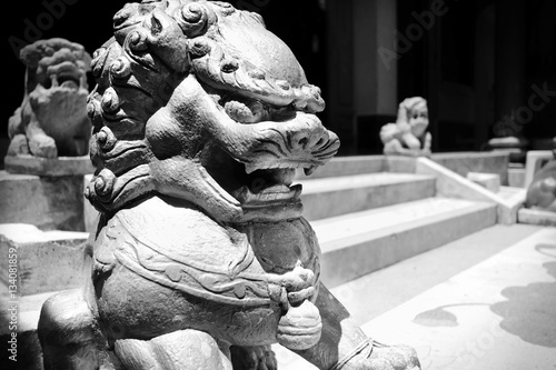 Chinese stone lion Sculpture and photo image