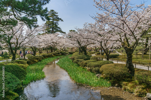 japanese landscape - kenrokuen - kanazawa - ishikawa