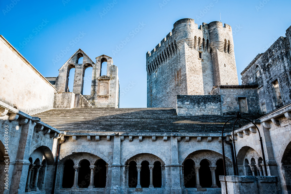 Le cloitre de l'Abbaye de Montmajour près d'Arles